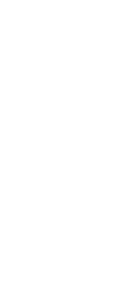 NO ALTERNATIVE TEXT