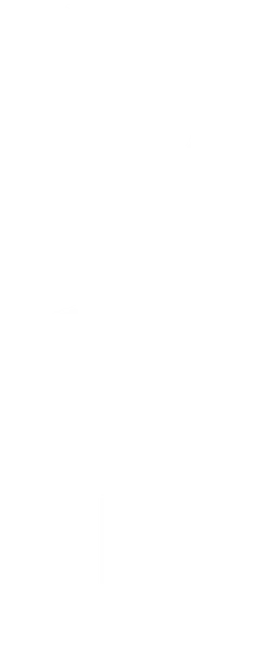 NO ALTERNATIVE TEXT