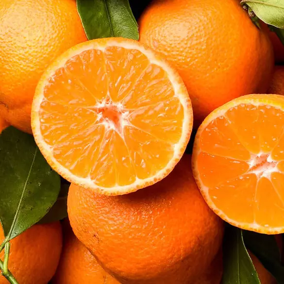 Eine Nahaufnahme von frischen Orangen und Clementinen verdeutlicht die fruchtige Duftnote der Kollektion.