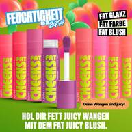 Fat Cheeks Juicy Blush in 8 verschiedenen Farben und Auflistung seiner Vorteile: bis zu 24h Feuchtigkeit, Fat Glanz, Fat Farbe, Fat Blush
